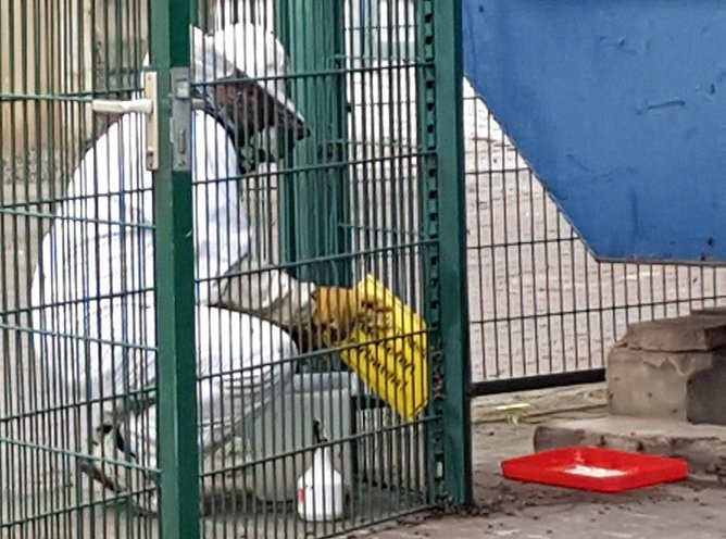 Olaf Hartung beim Bienefang (Foto: privat) Olaf Hartung beim Bienefang (Foto: privat)