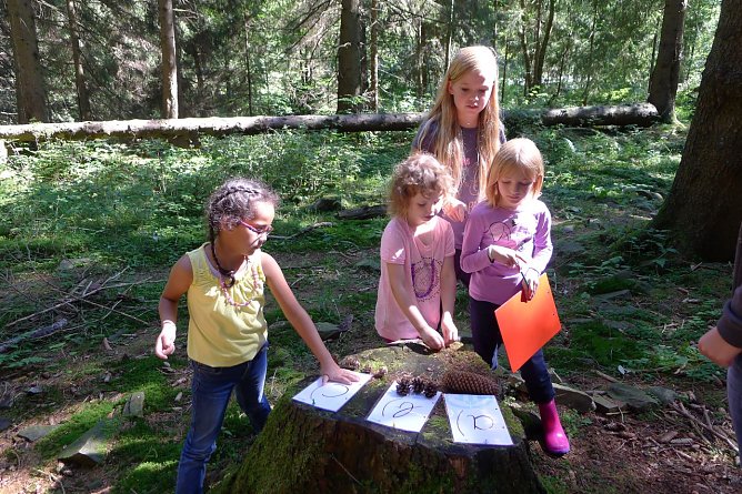 Der Harzklub lädt zum 20. Naturschutztag (Foto: Harzklub e.V.) Der Harzklub lädt zum 20. Naturschutztag (Foto: Harzklub e.V.)