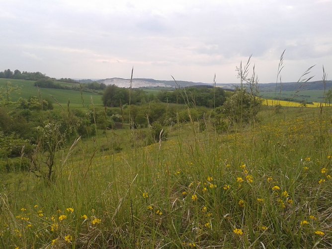 Blick zum Kohnstein (Foto: Bodo Schwarzberg)