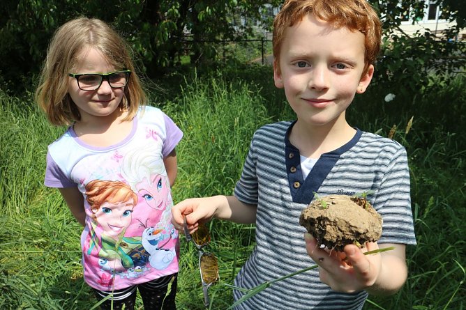Zur Begr&uuml;&szlig;ung f&uuml;r die Neuzug&auml;nge haben die Kinder selber "Bienenpralinen" gemacht (Foto: Angelo Glashagel)