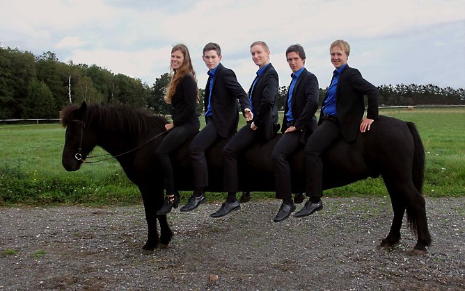F&uuml;nf auf einem Pferd (Foto: privat)