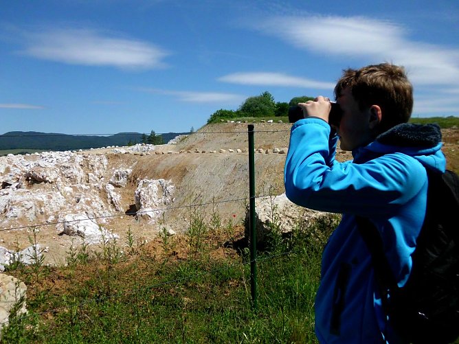 Torben beim Beobachten des Gipsabbaus an den Ellricher Klippen. (Foto: Daniela Hottenroth) Torben beim Beobachten des Gipsabbaus an den Ellricher Klippen. (Foto: Daniela Hottenroth)