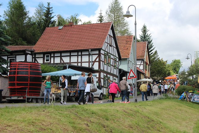 Über 100 Künstler zeigen was sie können (Foto: Karl-Heinz Herrmann) Über 100 Künstler zeigen was sie können (Foto: Karl-Heinz Herrmann)