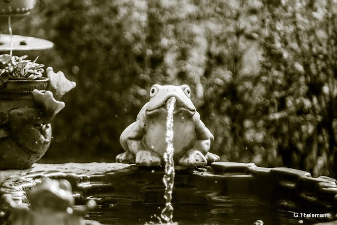 Wei&szlig; er, wie das Wetter wird? (Foto: Gernot Thelemann)