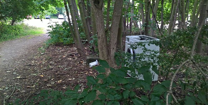 Entdeckt (Foto: privat)