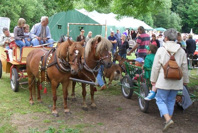 Drachenfest (Foto: Rainer K.) Drachenfest (Foto: Rainer K.)