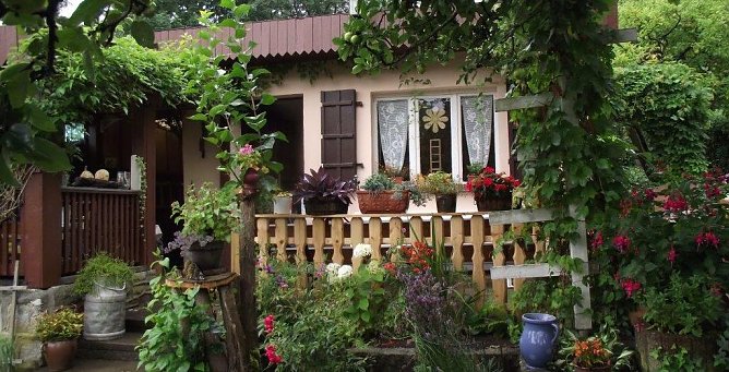 H&uuml;bsch anzusehen: Das idyllische Gartenh&auml;uschen, umrankt von bunter gr&uuml;ner Vielfalt. (Foto: Kurt Frank)