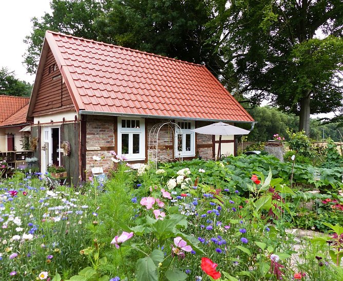 Ellrich wird bunter (Foto: privat)