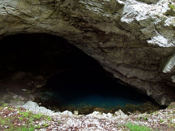 Die Kelle bei Appenrode (Foto: Isabel Reuter/RVH)