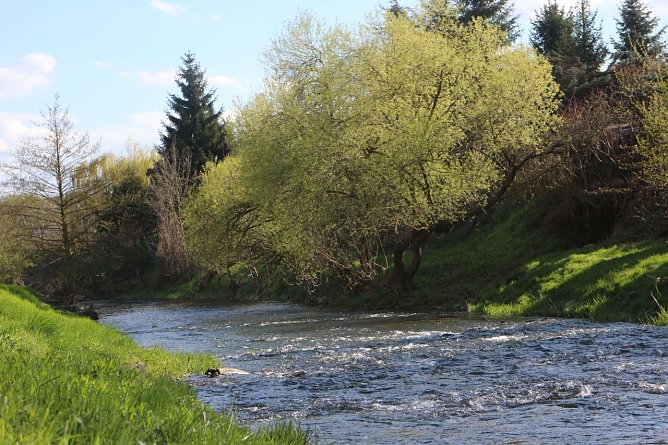 Die Zorge bei Nordhausen (Foto: Angelo Glashagel)