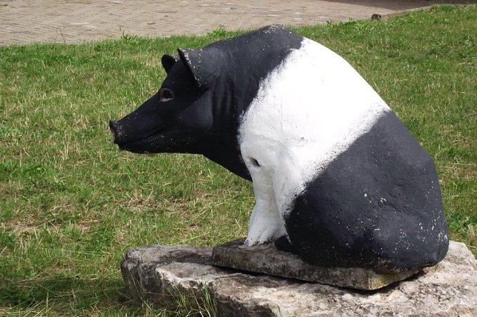 Ein Besuch auf der Forst-Farm (Foto: Kurt Frank)