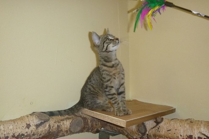 Tier der Woche: Winni (Foto: Birgit Hellrung) Tier der Woche: Winni (Foto: Birgit Hellrung)