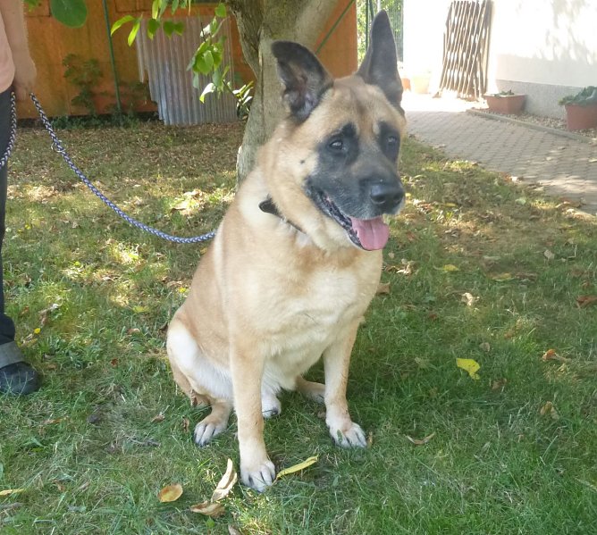 Tier der Woche: Willi (Foto: Birgit Hellrung)