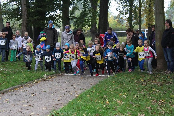 Stadtparklauf (Foto: Karl-Heinz Herrmann)