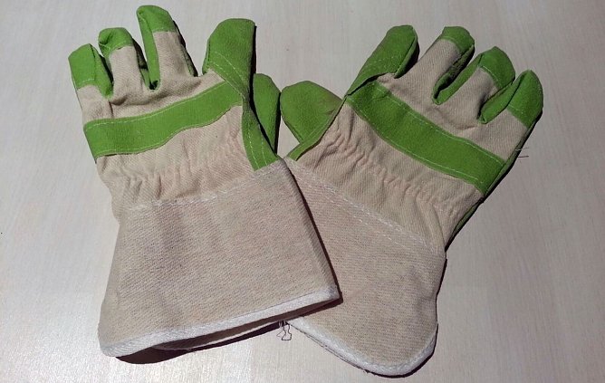 F&uuml;r zwei Euro gekauft (Foto: privat)