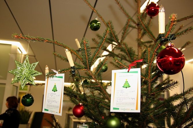 W&uuml;nsche werden wahr (Foto: J. Piper)