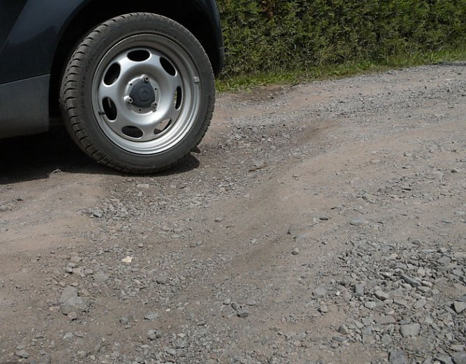 Quer &uuml;ber die Stra&szlig;e (Foto: nnz)