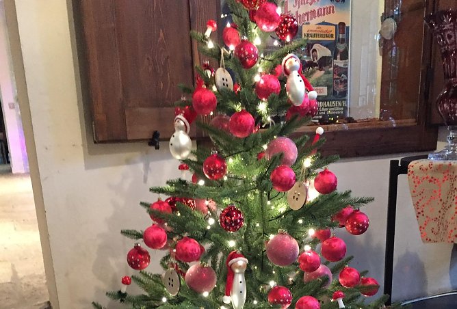 Immer wieder sch&ouml;n anzusehen (Foto: privat)