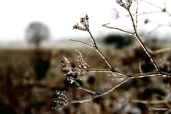 Wetter-Bild (Foto: Gernot Thelemann)