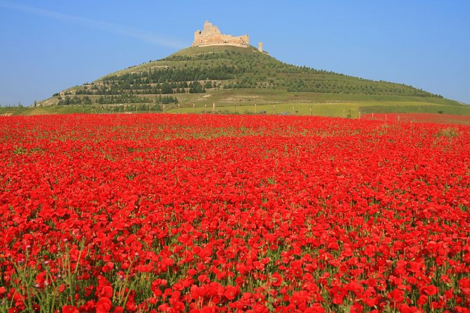 Auf dem Jakobsweg (Foto: Matthias Hanke)