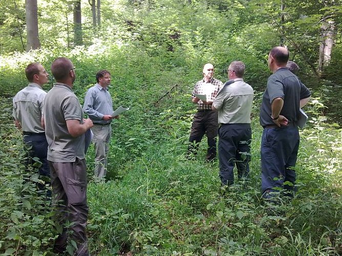 Verteidigt (Foto: SVB) Verteidigt (Foto: SVB)