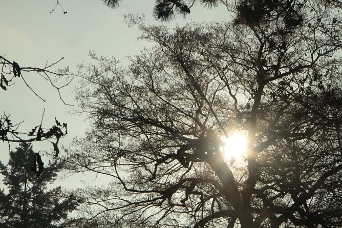 Wetterbild (Foto: Angelo Glashagel) Wetterbild (Foto: Angelo Glashagel)