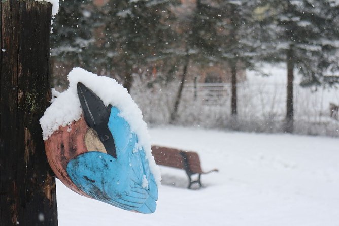 Wetterbild (Foto: Angelo Glashagel)
