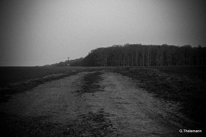 Wetter-Bild (Foto: Gernot Thelemann)