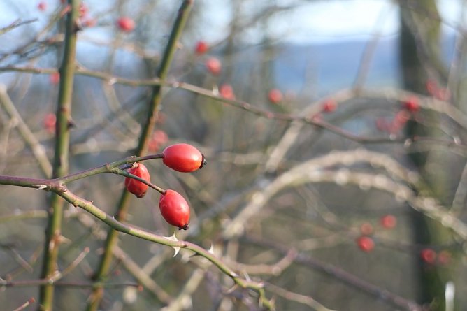 Wetterbild (Foto: Angelo Glashagel) Wetterbild (Foto: Angelo Glashagel)