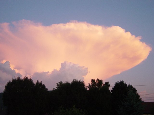 Phänomen (Foto: St. Paul) Phänomen (Foto: St. Paul)