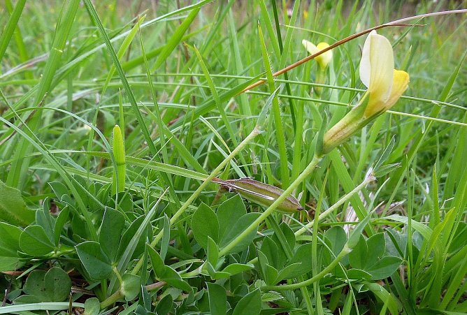 51. Einsatz des BUND (Foto: B. Schwarzberg)