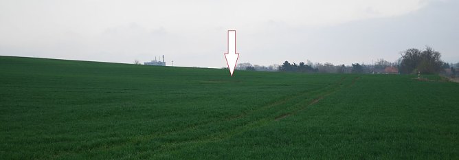 Hier liegt der Blindg&auml;nger begraben (Foto: nnz)