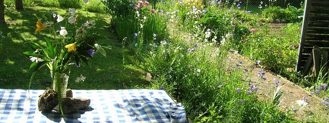 Feld statt Wiese - w&uuml;rde urbanes G&auml;rtnern auch in Nordhausen funktionieren? (Foto: Angelo Glashagel)