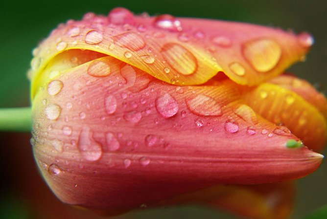 Wetterbild (Foto: Gernot Thelemann)