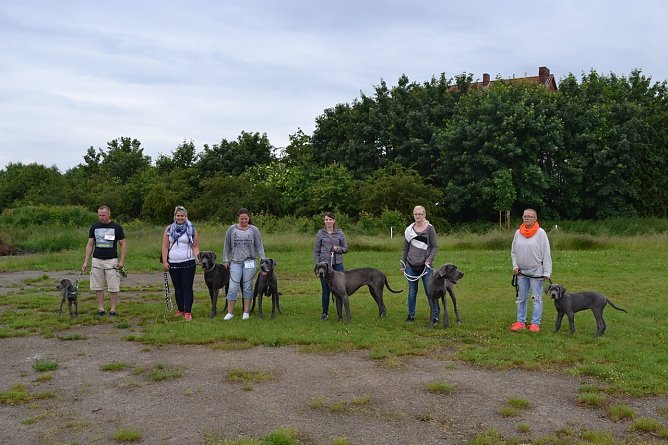 Sch&ouml;nheitsschau f&uuml;r Vierbeiner (Foto: Anika Koe)