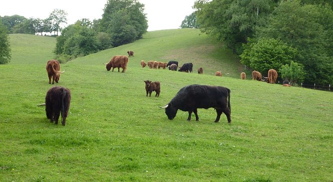 Blick in die R&uuml;digsdorfer Schweiz bei R&uuml;digsdorf (Foto: P. Grabe/Stadt Nordhausen)