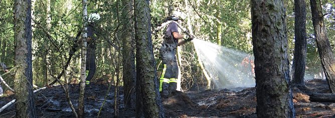 Brand im Alten Stolberg (Foto: nnz)