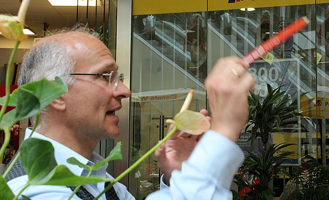 Mit Zimmermannsbleistift dirigiert (Foto: Karl-Heinz Herrmann)