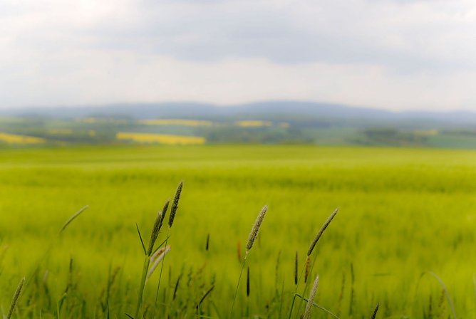 Wetterbild (Foto: Angelo Glashagel)