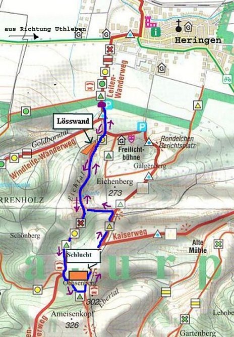 lageplan (Foto: goldene aue)