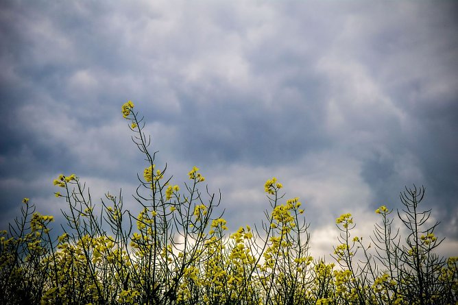Wetterbild (Foto: Gernot Thelemann)