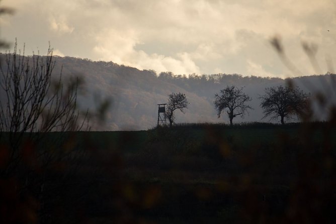 Wetter-Bild (Foto: Gernot Thelemann)