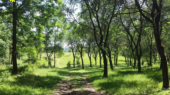 Wanderung durch den Gr&uuml;nen Karst am Samstag (Foto: Naturpark Kyffh&auml;user/S&uuml;dharz)