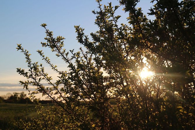 Wetterbild (Foto: Angelo Glashagel)