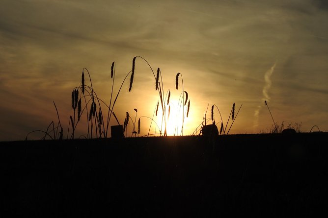 Wetterbild (Foto: Anja Schr&ouml;ter)