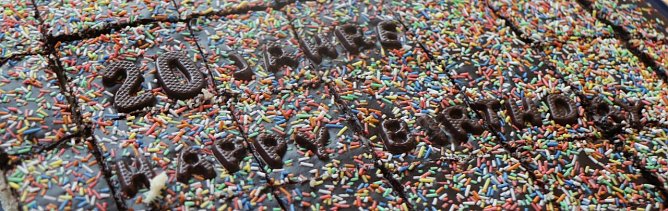 20 Jahre Evangelische Grundschule Nordhausen (Foto: Angelo Glashagel)