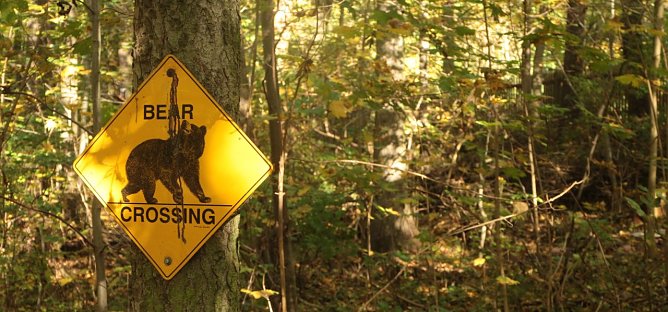 Goldener Herbst im B&auml;renpark Worbis (Foto: Angelo Glashagel)
