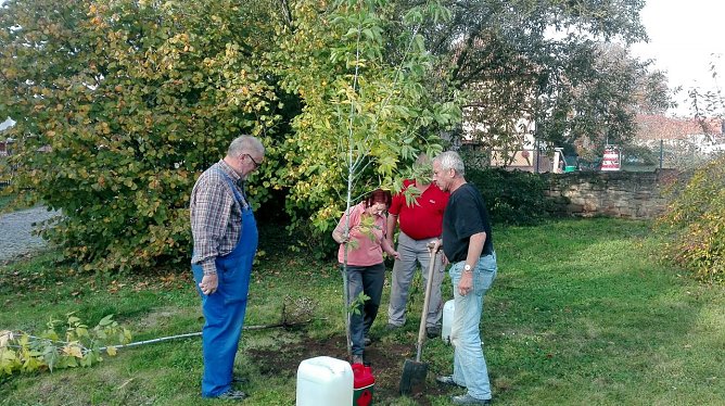 Drei neue  B&auml;ume von Familie Nachtwey f&uuml;r den Kirchplatz und die Bushaltestelle (Foto: privat)