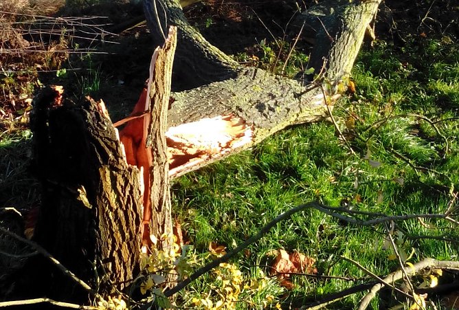 Sturmsch&auml;den sollen bis zum Wochenende ber&auml;umt sein (Foto: Axel Axt)