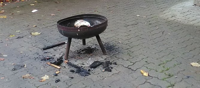 Riesige Schweinerei in Harztor (Foto: privat)